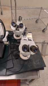 PXL 20250916 013210591